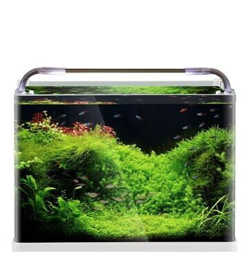Curved glass Aquarium Tank | Size L*W*H = 35*20*23 cm | Extra Clear | 5mm