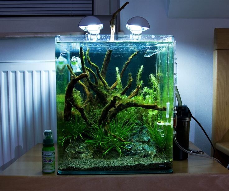 Investeren Tijdreeksen Effectiviteit Aquarium U Tank | Betta Tank | Size L*W*H = 9*6*7 cm | Extra Clear | 4mm