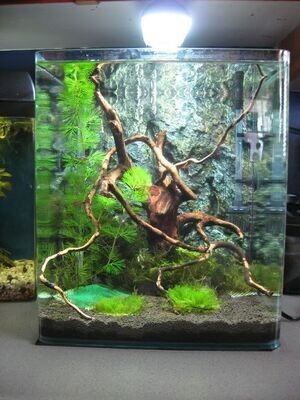 Cubic Aquarium Tank | Size L*W*H = 12*12*12 inches | extra Clear | 5mm