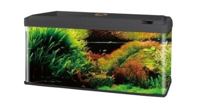 RS electrical Glass Aquarium | RS-1000EL RS electrical Glass Aquarium | RS-1000EL