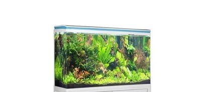 Fivestar 2 Feet Aquarium Tank only | Size L*W*H = 60*33*46 cm | (Not Suitable For Plant Tank)
