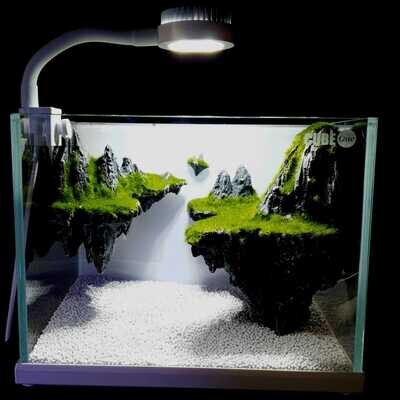 Cube One Mini paludarium | Landscape Tank with Spotlight and Hang on Filter