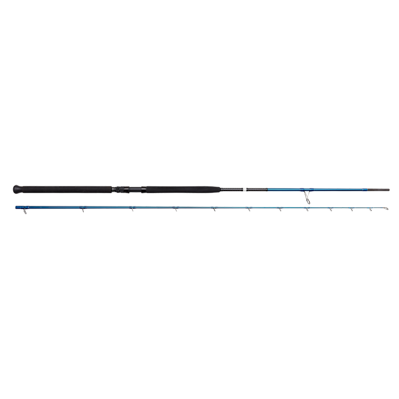 SGS2 SHORE JIGGING 10'/3.05M MF 30-100G
