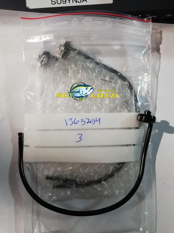 ARCHETTO RICAMBIO- Bail Wire