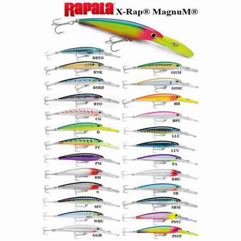 X-RAP MAGNUM 15
