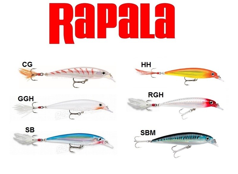 X-RAP XR06
