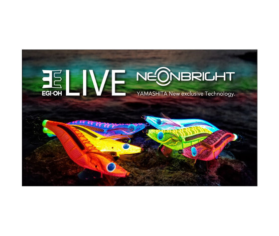 EGI OH LIVE 3.5 NEON BRIGHT