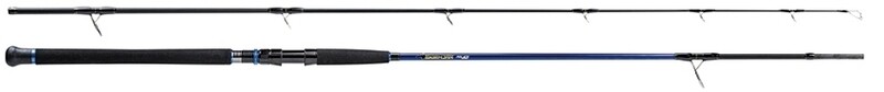MOLIX SKIRMJAN R. 9'6" 2pcs max 100gr
