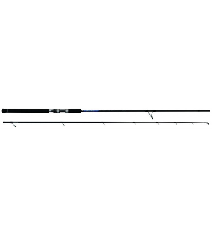 PALMS SHORE GUN F FOSS 10.3FT. XH-BL 30-100GR.