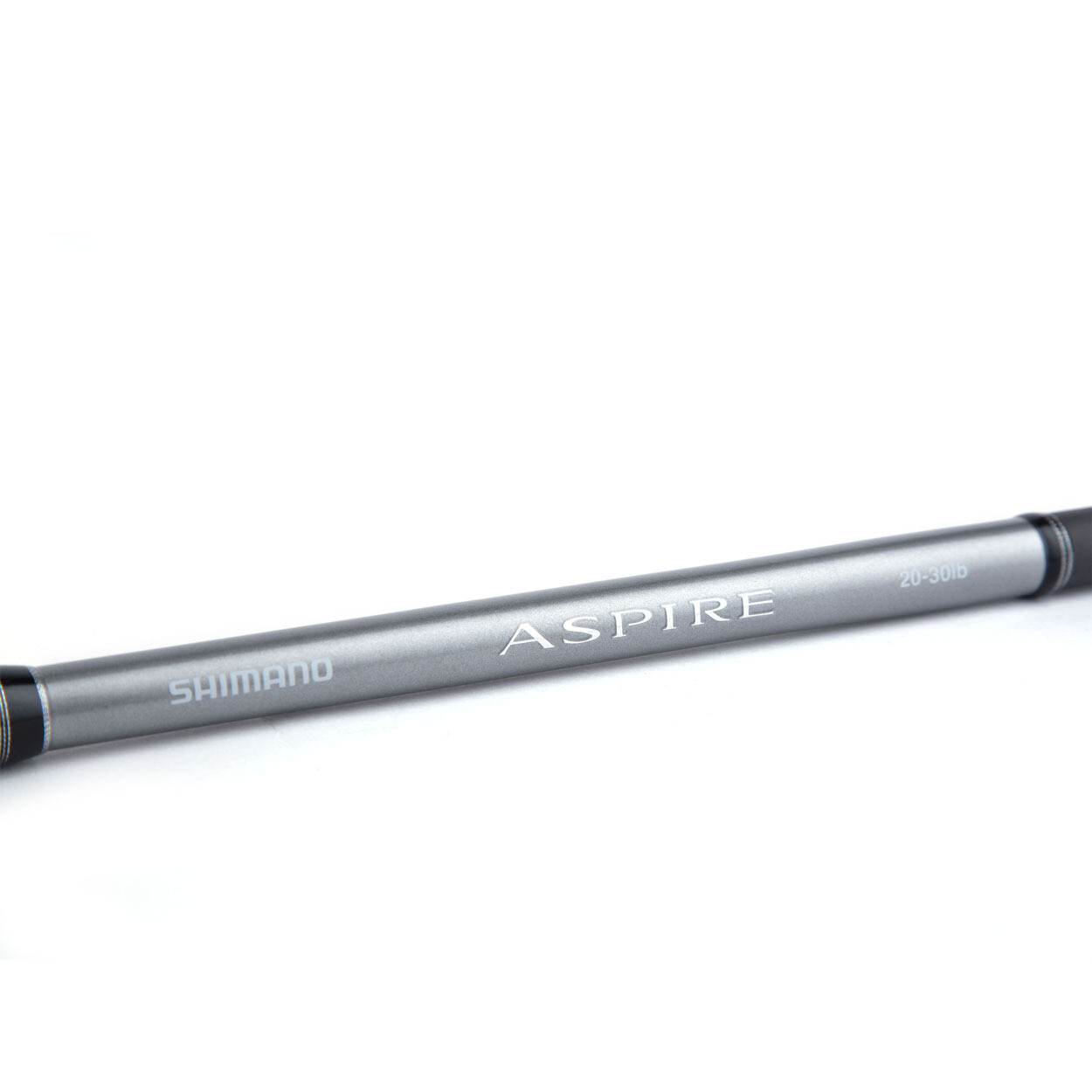 shimano aspire bolognese