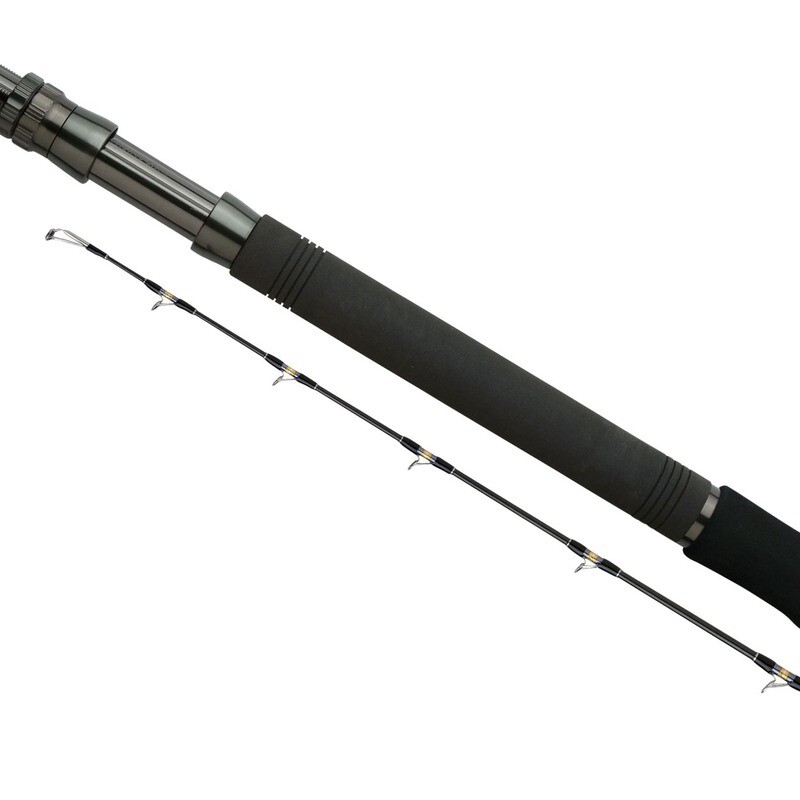 SHIMANO TYRNOS B TROLLING LITE