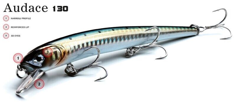 MOLIX AUDACE 130