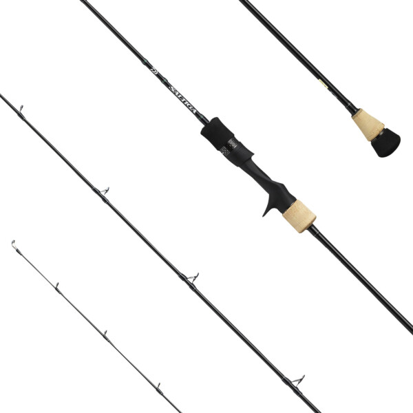 DAIWA CANNA 20 SALTIGA SLOW JIGGING