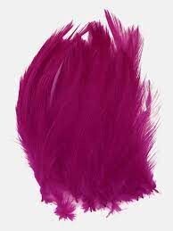 Piume Feathers Bulox 6-13cm conf. da 50pz