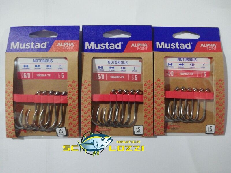 AMI MUSTAD NOTORIOUS
