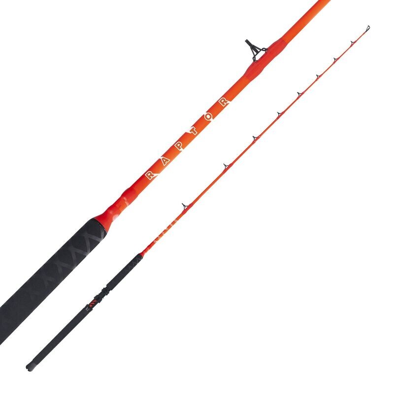 CANNA FALCON RAPTOR