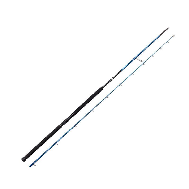 SGS2 SHORE JIGGING 9FT6IN/2.90M MF 20-80G