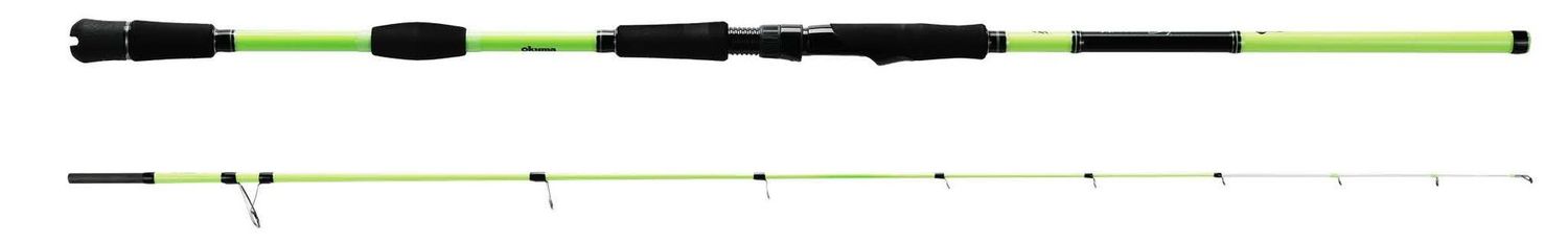 OKUMA WILD SQUID 8'0'' 100-250G
