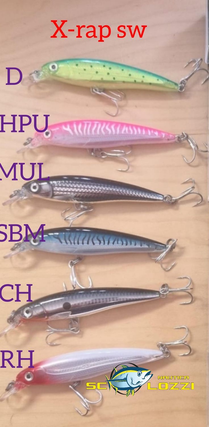 RAPALA X-RAP SW XR08SW