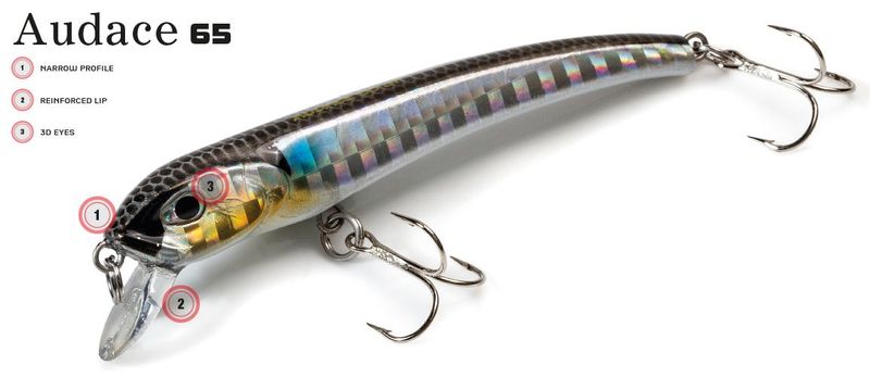 MOLIX AUDACE 65 SP