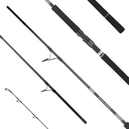 DAIWA CANNA 25 SALTIST X SJ 100H