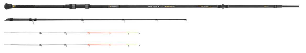 TUBERTINI Genetic Duo