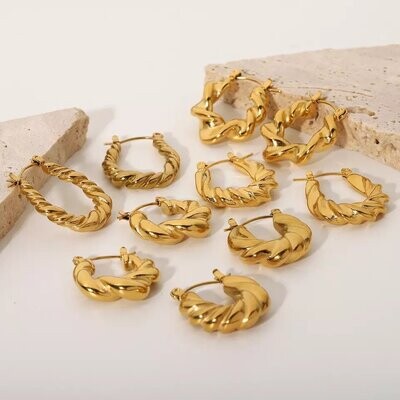 Earrings
