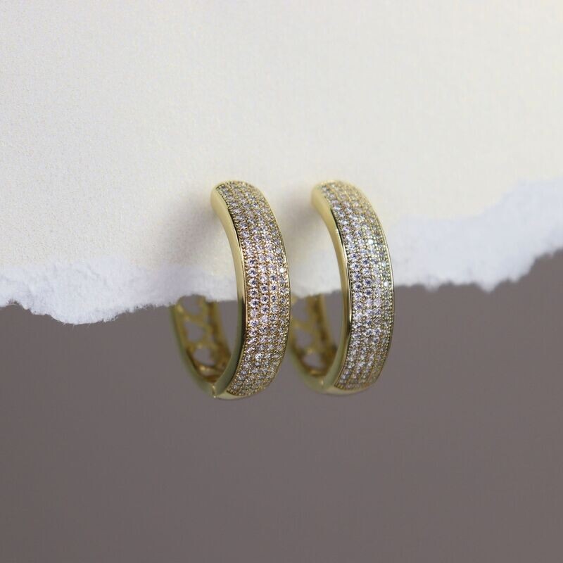 2 in 1 Hoop Earrings