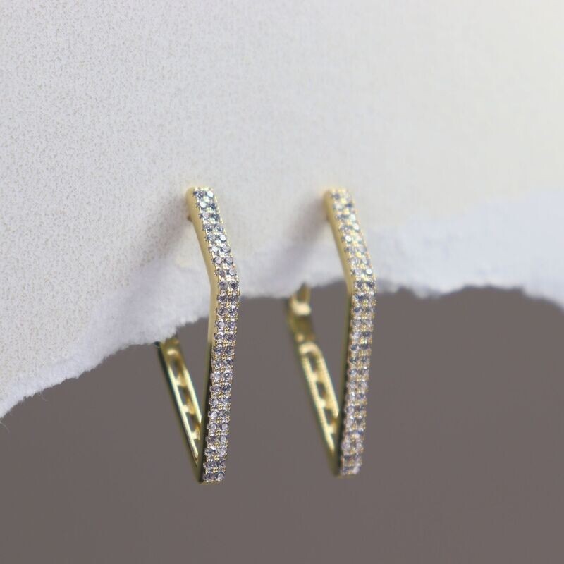 Sharp Looking Earrings