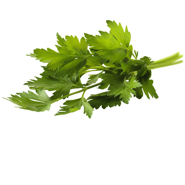 Italian Parsley - 1 bunch