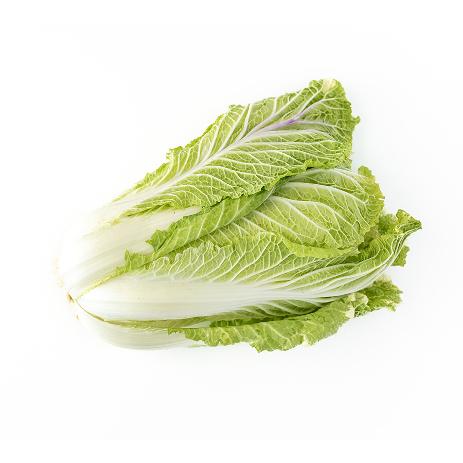 Napa Cabbage Organic Local per head