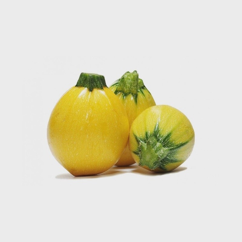 Golden Zucchini - PER POUND - FTT/Hyper-Local