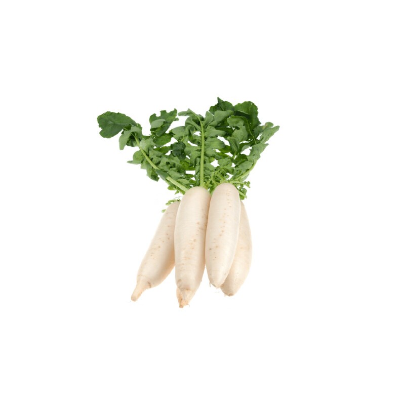 Daikon Radish - Organic - Purple - Per pound