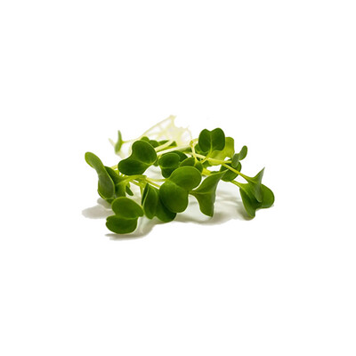 Broccoli Microgreens - Zero Point Organics - 2 oz