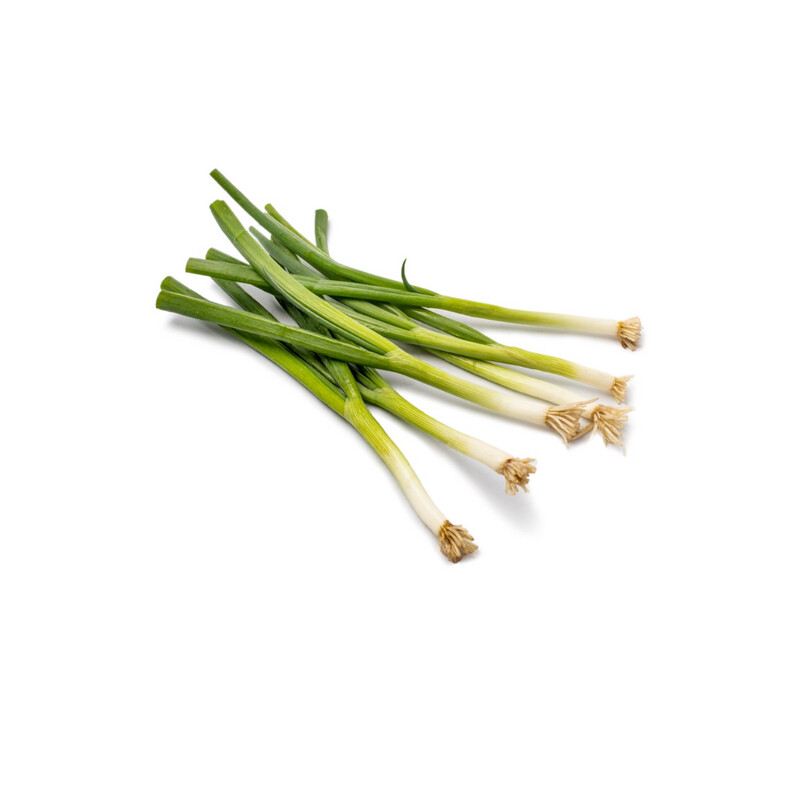 Green Onion - Purple Scallion - Bunch