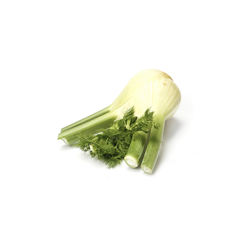 Fennel - Local - Organic - Per Bunch
