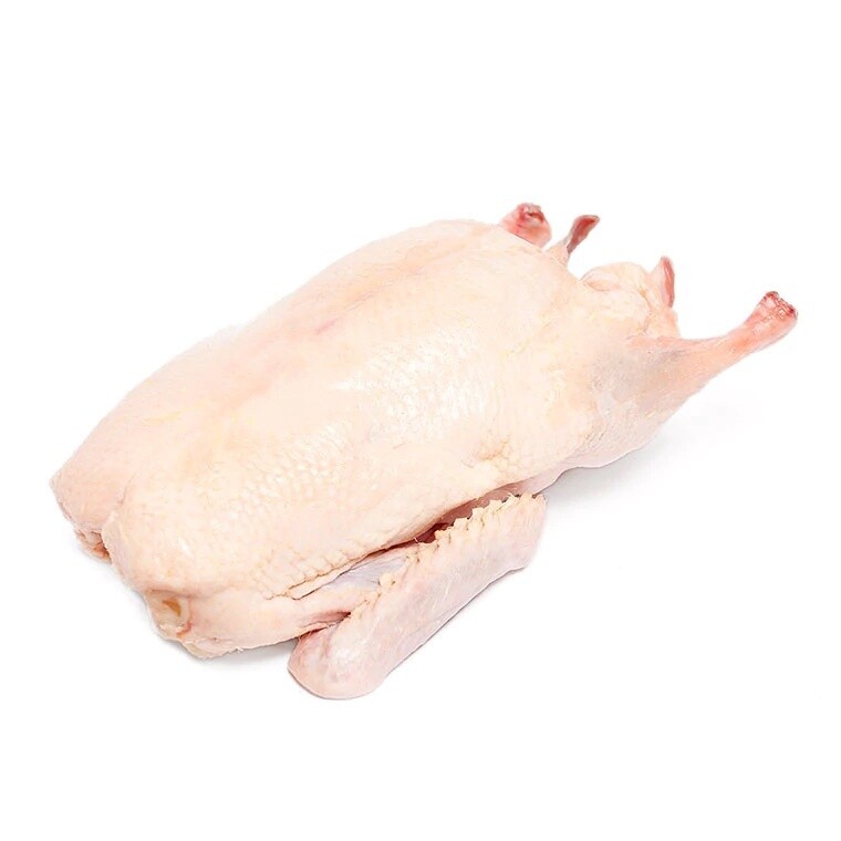 Whole Muscovy Duck Per Pound Beck and Bulow