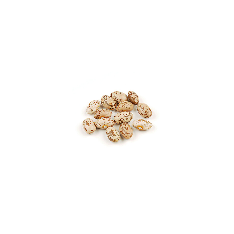 Dried Pinto Beans - Organic - 1 lb