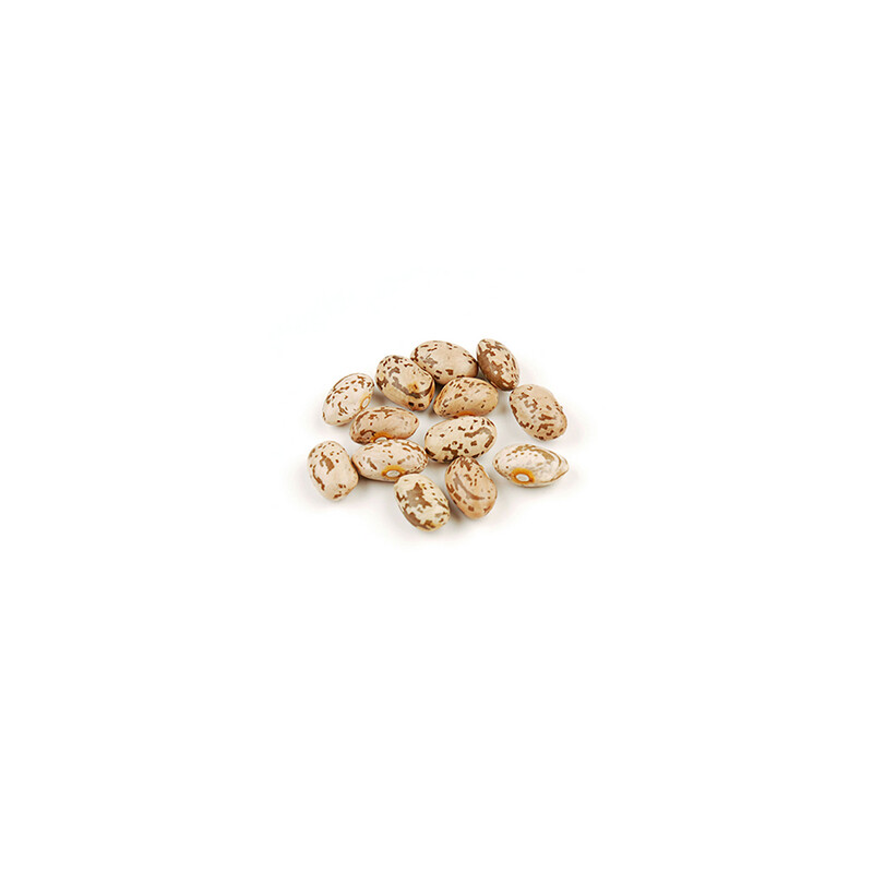 Organic Dry Pinto Beans  - 1 lb
