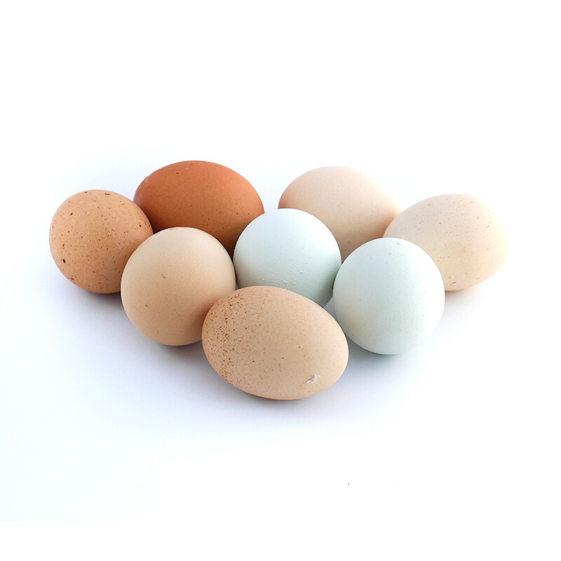 Chicken Eggs - Local - Dozen