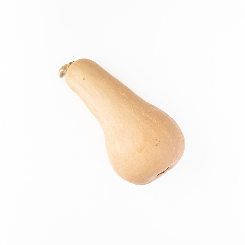 butternut-butterscotch-squash-local-per-pound
