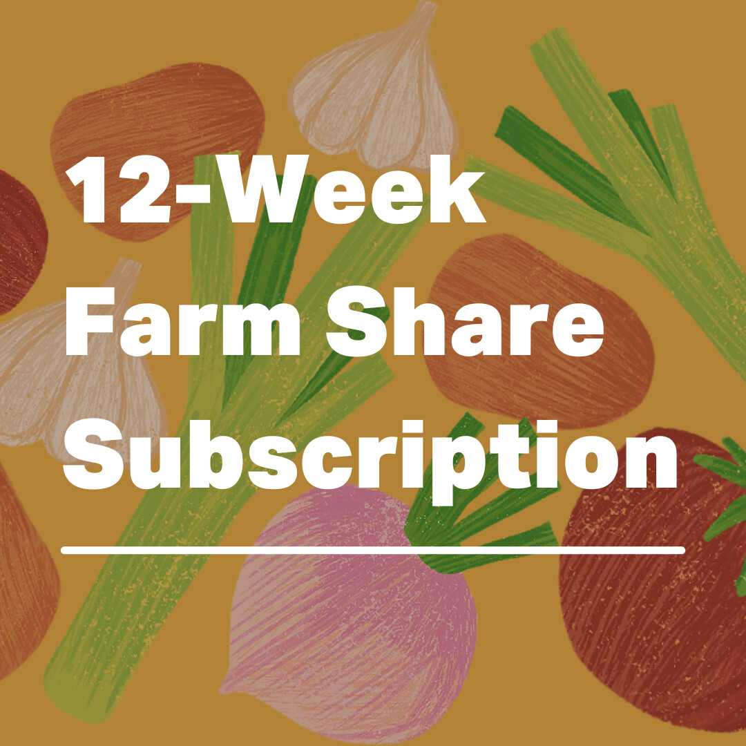 MEDIUM - 12-Week Farm Share