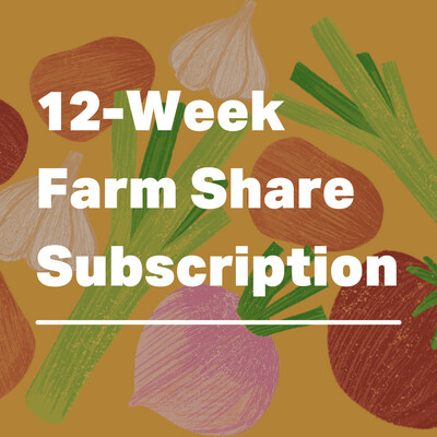 LARGE - 12-Week Farm Share