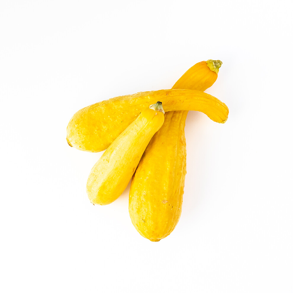 Yellow Squash - Organic - per pound
