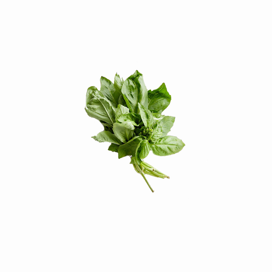 Basil - Local - Per bunch, Type: Lemon Basil