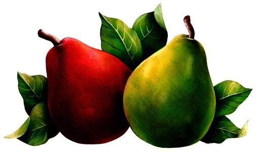 Red & Green Pear - Organic - per pound