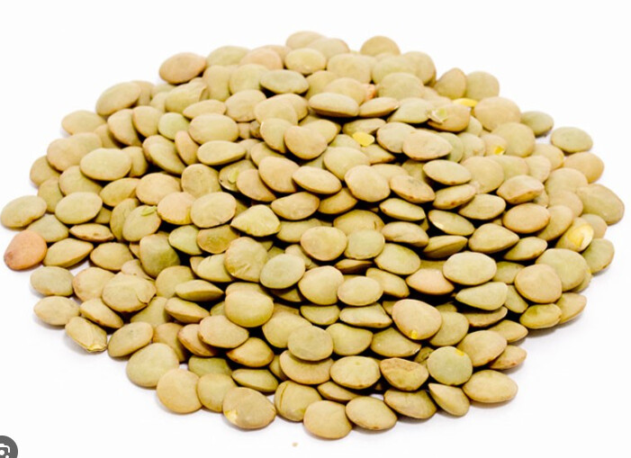 Organic French Green Lentils - 1.5 Lbs