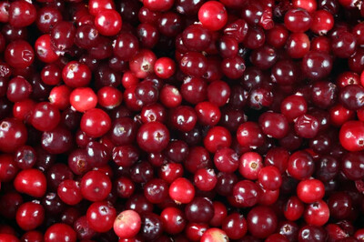 Cranberries  - Organic