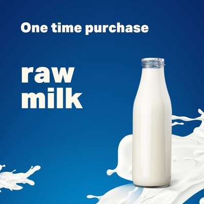 Raw Milk (Cow) - one time purchase - 4 E Dairy