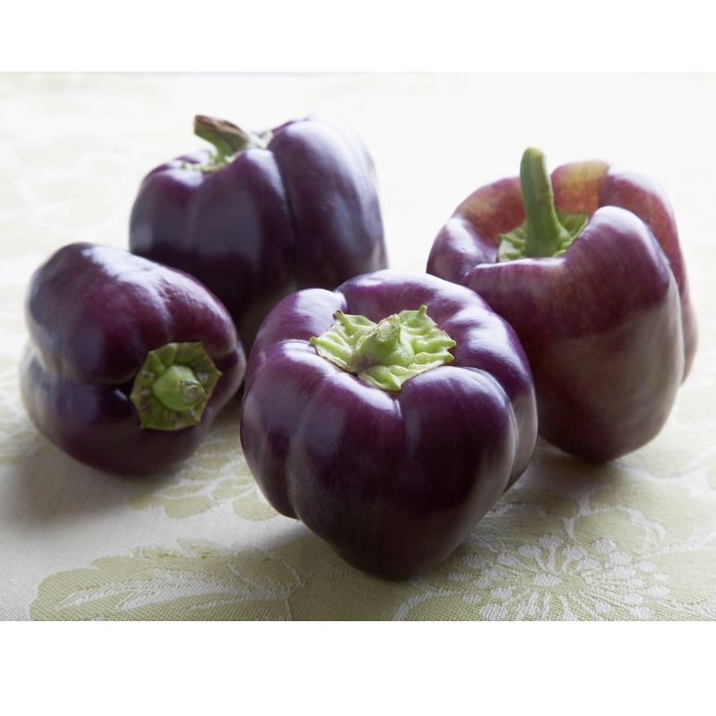 Tequila Bell Peppers Per Pound